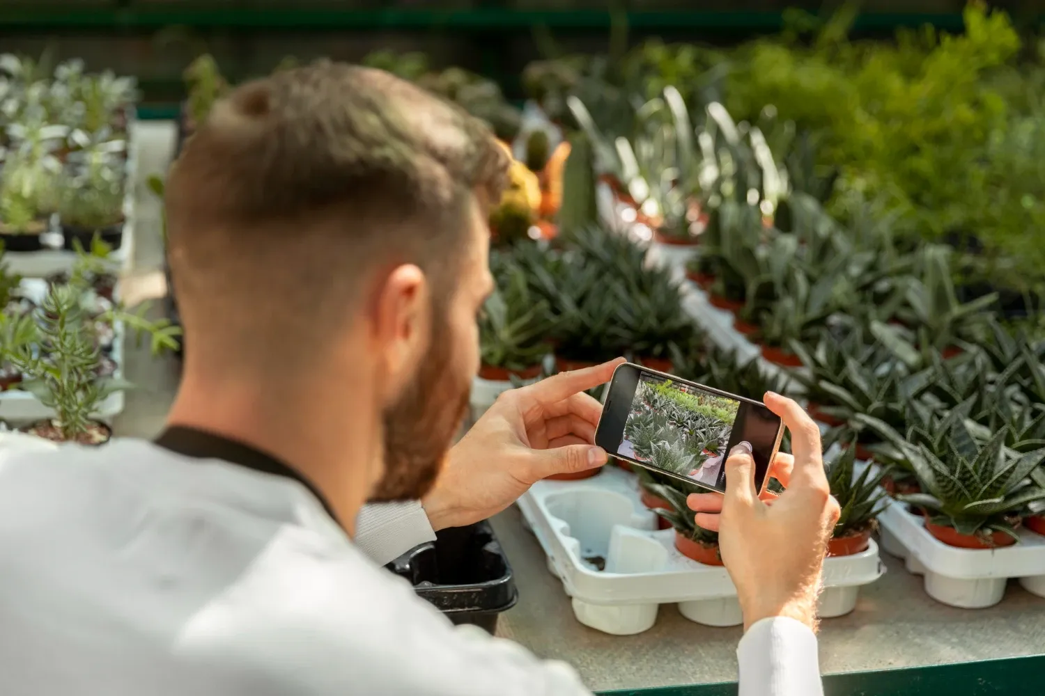 Master Smartphone Photography